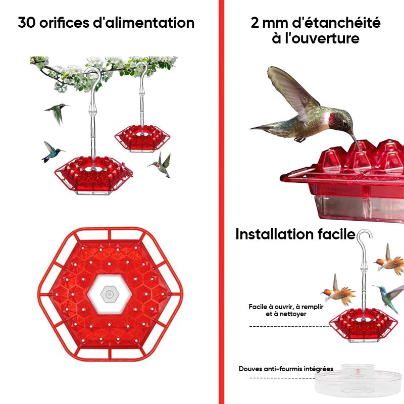 Mangeoires pour colibris suspendues à l'extérieur