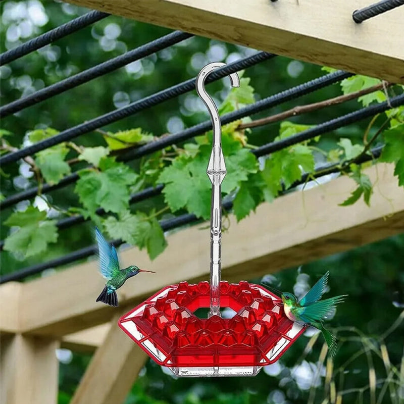 Mangeoires pour colibris suspendues à l'extérieur