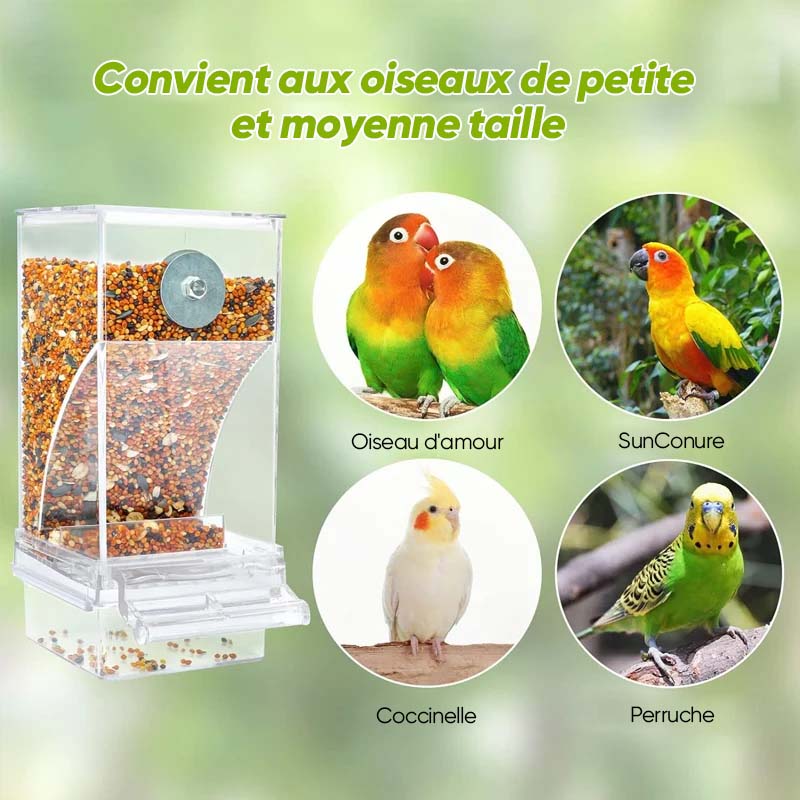 Mangeoire d'oiseaux automatique transparente sans déversement