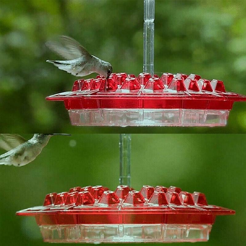 Mangeoires pour colibris suspendues à l'extérieur