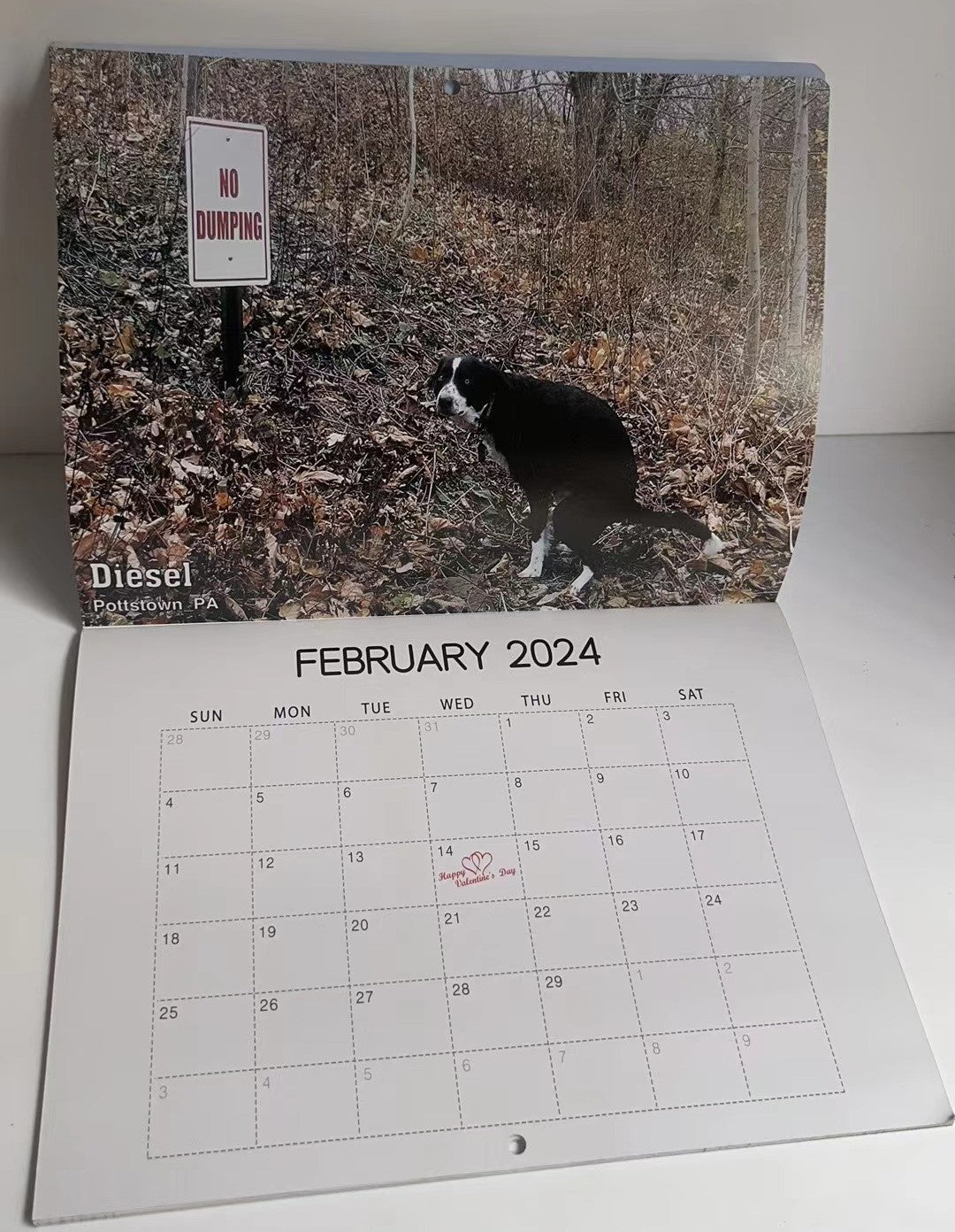 Calendrier 2024 : Les chiens font leurs besoins dans de beaux endroits