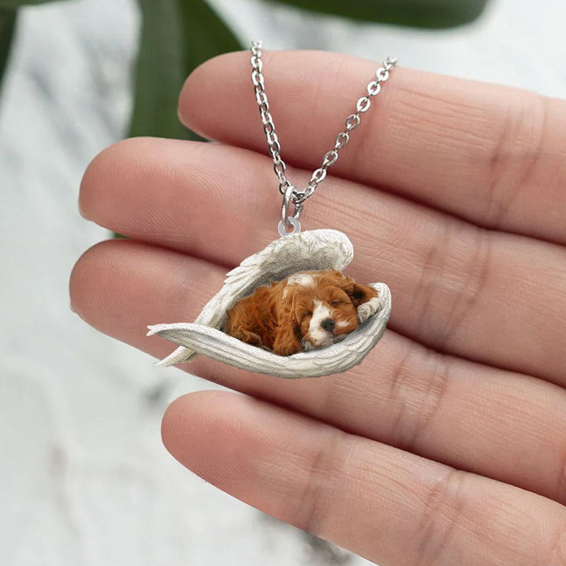 Collier de chien endormi