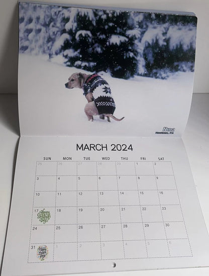 Calendrier 2024 : Les chiens font leurs besoins dans de beaux endroits