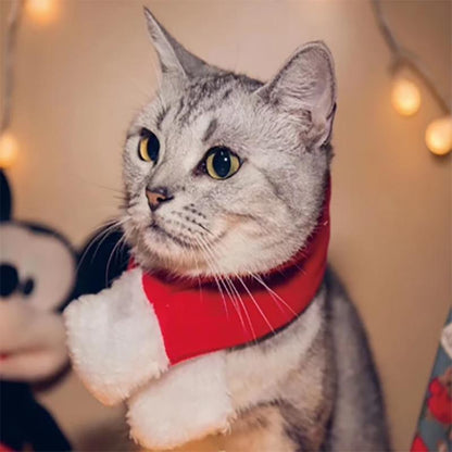 Costume de Noël pour Animaux de Compagnie