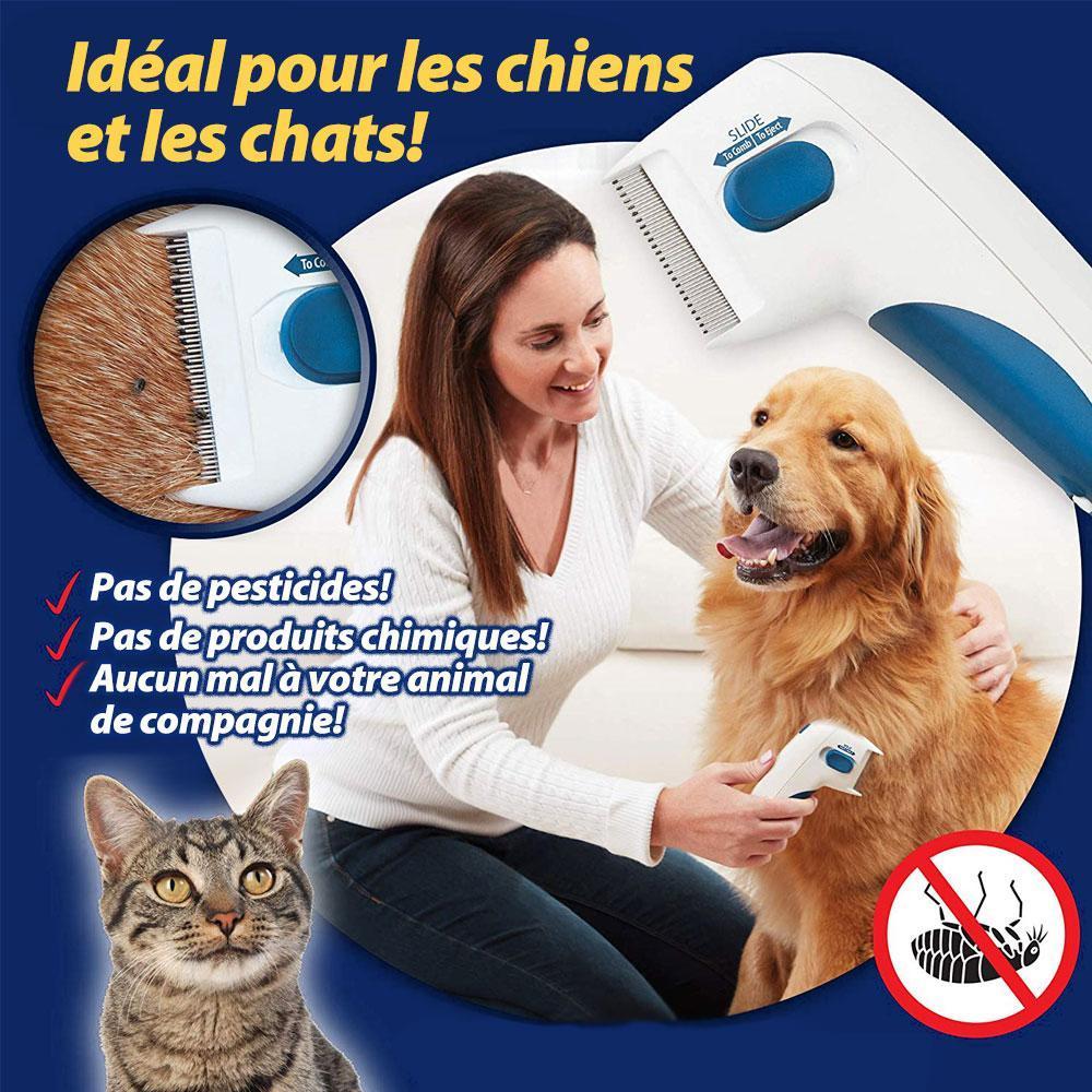 Dissolvant Électrique Pour Animaux Domestiques