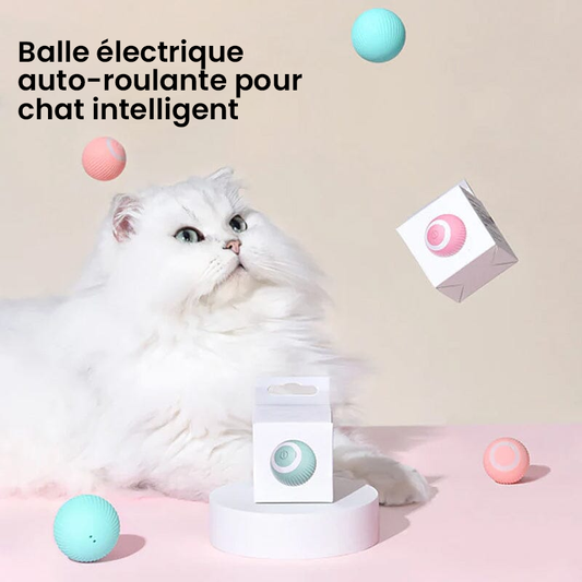 Cache-cache chat taquin