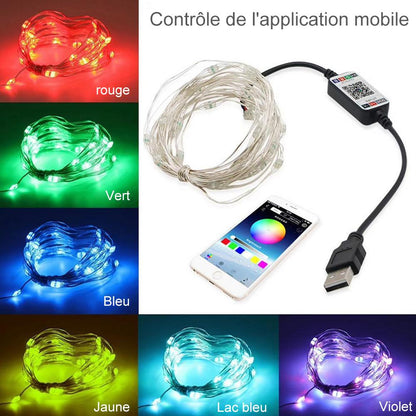 (🎄Promotion de Noël en avance🎄)Guirlandes lumineuses LED