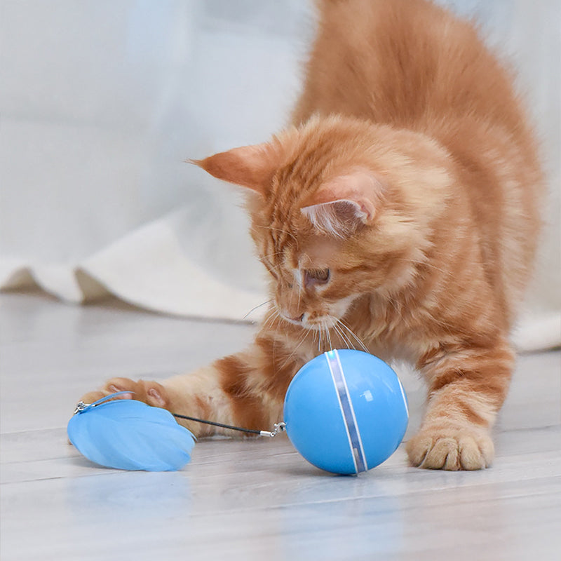 (🌲Vente de Noël -48 % de réduction) Jouet Boule Laser pour Chat🎉