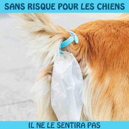 Collecteur De Crottes De Chien Avec Sac