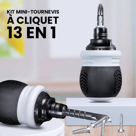 Kit Mini-tournevis à Cliquet 13 en 1