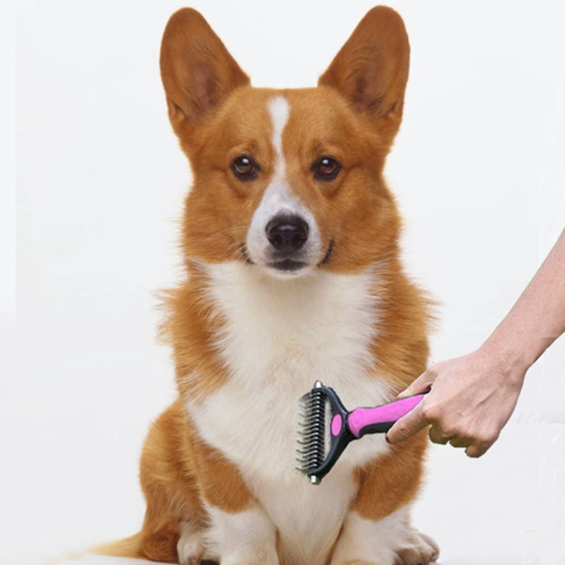 Brosse de toilettage pour animaux de compagnie