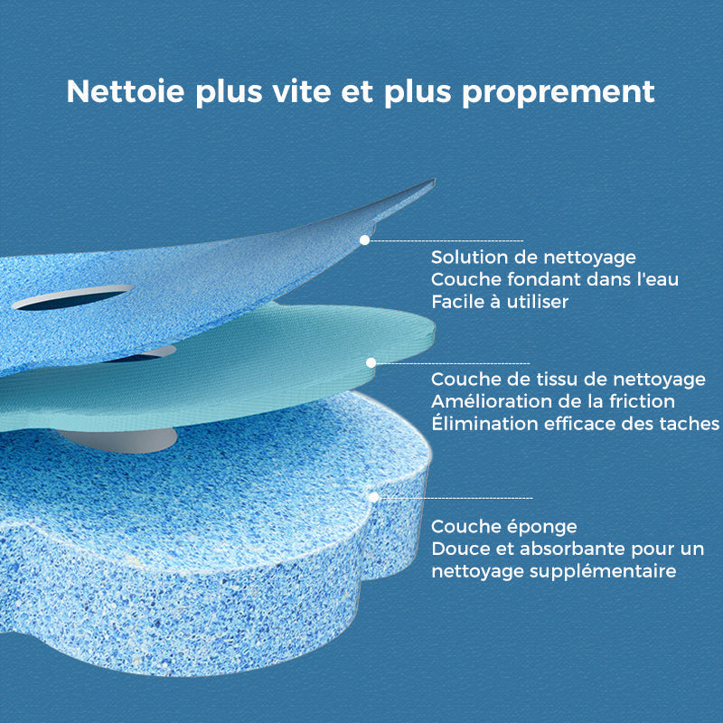 Système de nettoyage des toilettes à usage unique