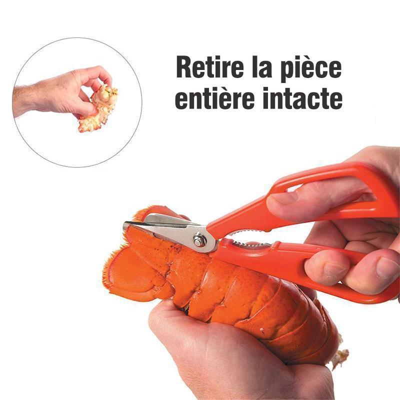 Ciseaux Multifonctionnels pour Homards