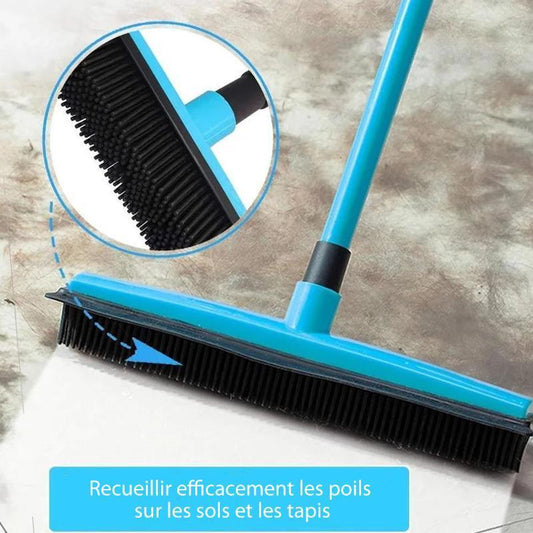 Brosse en caoutchouc multifonctionnelle