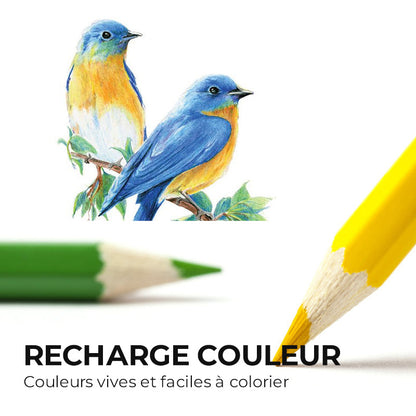 Ensemble de Crayons de Couleur Grasse