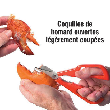 Ciseaux Multifonctionnels pour Homards