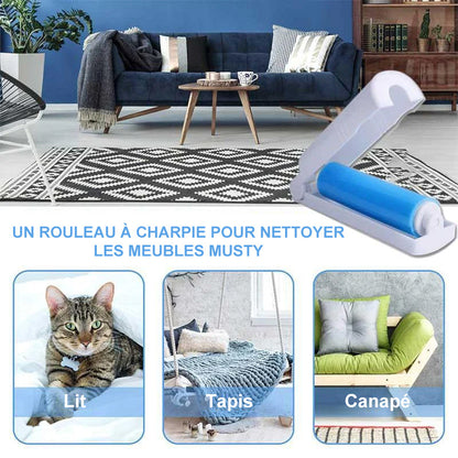 Épilateur portable réutilisable