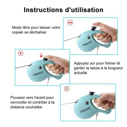 Laisse Rétractable Flexible de Chien